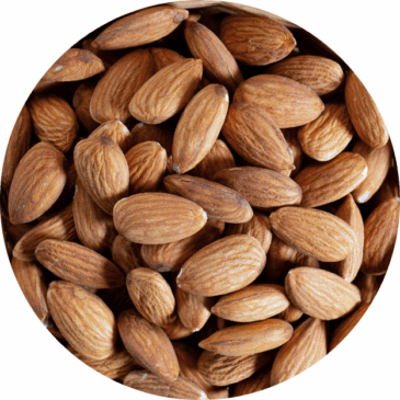 Australian Almond Raw Natural Wholes - Jumbo Size