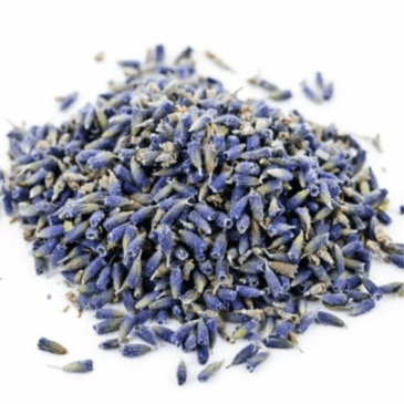 Dried Lavender