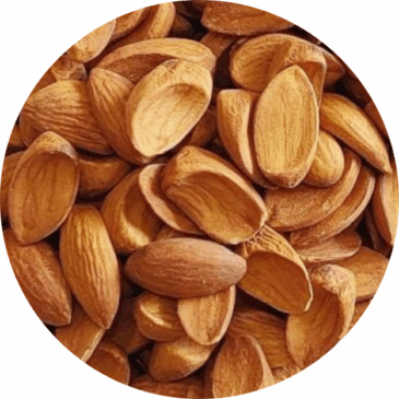 Iranian Mamra Almond - Jumbo Size