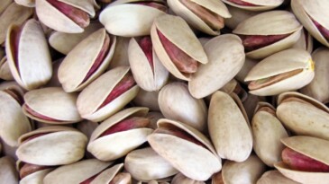 IRANIAN PISTACHIOS