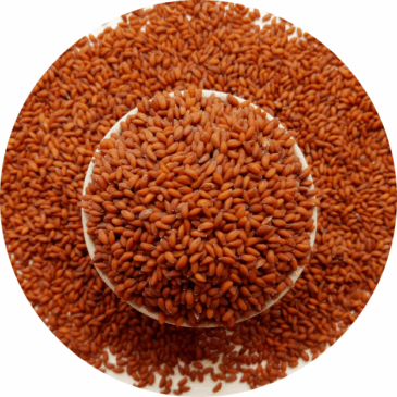 Alive Seeds | Garden Cress Seeds | Halim Seeds