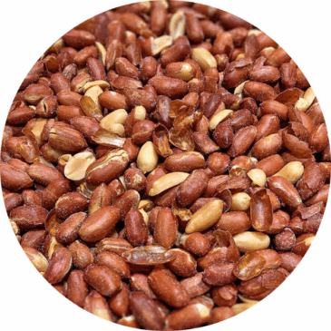 Beer Nuts