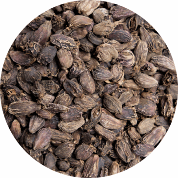 Black Cardamom Pods