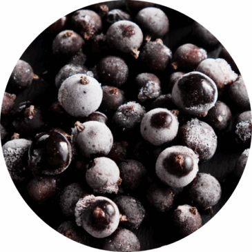 Frozen Black Current