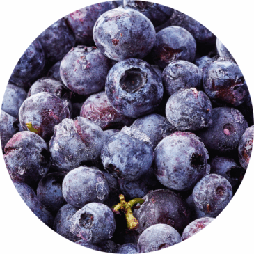 Frozen Blue Berries