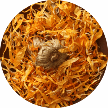 Dried Calendula Flower