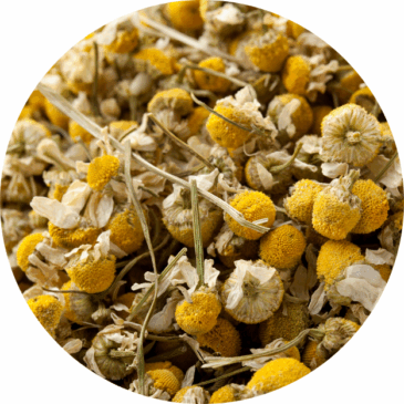 Dried Chamomile Herbal Tea