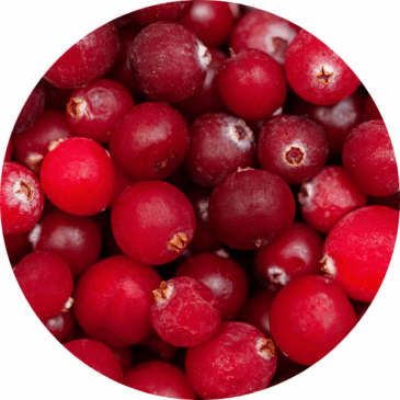 Frozen Cranberries