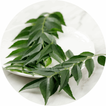 Curry Leaves