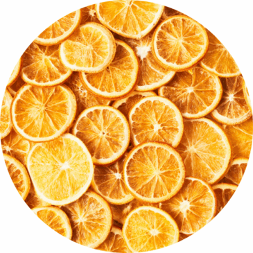 Dried Orange Slice