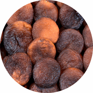 Dried Seedless Apricots (Natural)
