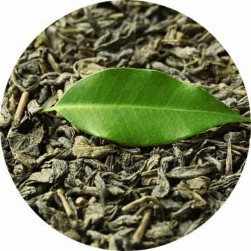 Single Origin Green Tea Leaf