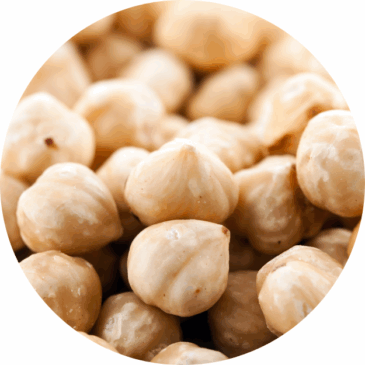 Hazelnut  Shelled