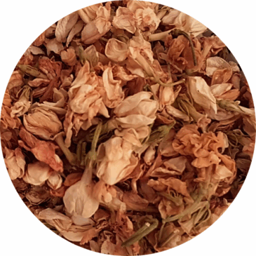 Dried Jasmine Flower