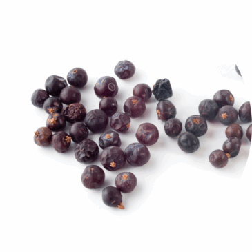 Juniper Berries