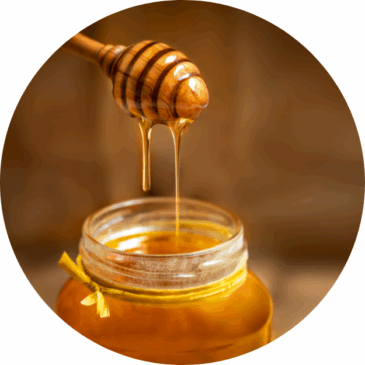 Multi Floral Honey