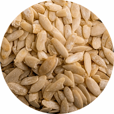 Musk Melon Seeds Raw