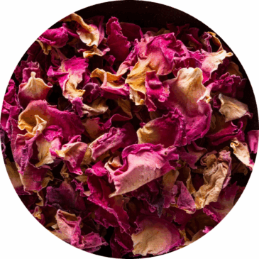 Dried Rose Petals