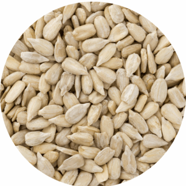 Sunflower Seeds Raw Shelled Unroasted