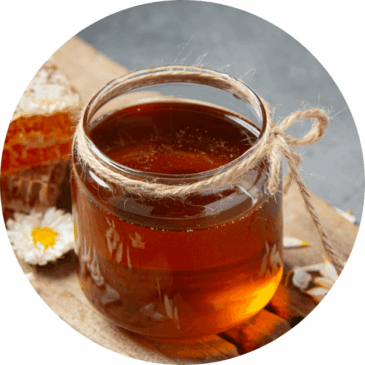 Wild Forest Honey