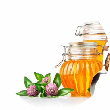 Clover Honey
