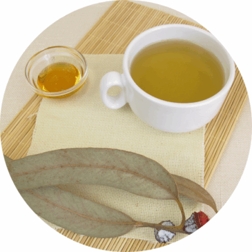 Eucalyptus Honey