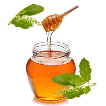 Indian Holy Basil Honey